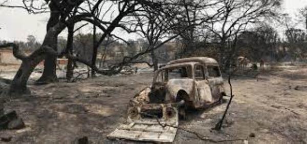 阿尔及利亚森林大火造成的死亡人数上升到40多人