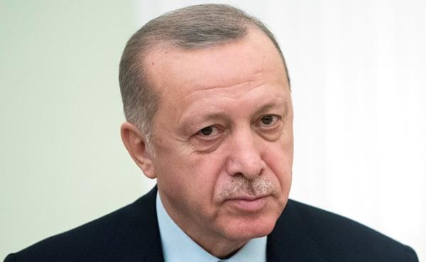 Turkish Parliament Won't Speed Up Sweden's NATO Bid, Says Panel Chair