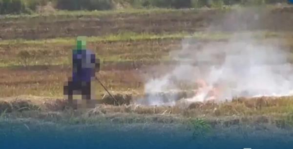 由于农民坚持焚烧农作物，Ang Thong面临PM2.5激增的问题