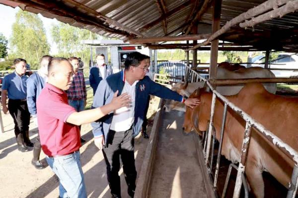 总理办公室部长重申牛肉在东盟受到欢迎