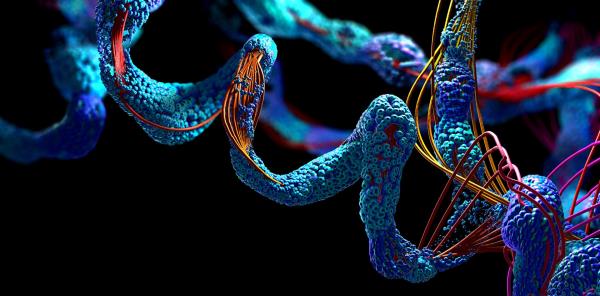 人工智能系统能够以惊人的精度预测生命分子的结构，帮助解决生物学上最大的问题之一