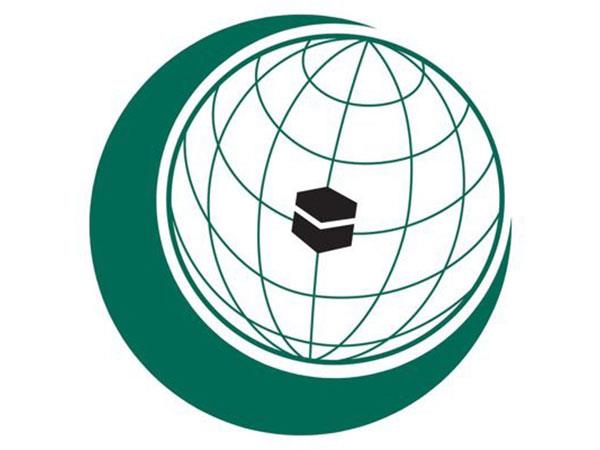 伊斯兰会议组织欢迎联合国大会就巴勒斯坦申请成为正式成员国进行表决
